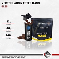 Vectorlabs Master Mass Gainer 6 Lbs Susu Protein Weight Gain