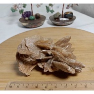Desert Rose Raw Crystal Selenitenatural (7)