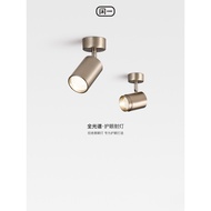 Medieval Baohaus Adjustable Angle Silver Spotlight Downlight Full Spectrum Eye Protection Corridor A