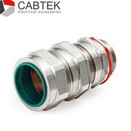 Promo Gland Armored 20s E1FW M20 CABTEK Brass Nickel Plated Cable Discount