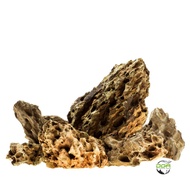 Aquascaping Ohko Dragon Stone Rock ALVEOLATE ROCK (水草造景松皮石虎皮石)