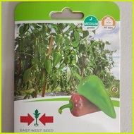 ∇ ▪ SULTAN F1 HYBRID SWEET PEPPER / BELL PEPPER / ATSAL (100 SEEDS) by EAST WEST SEED