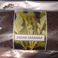 Biji benih ensabi sarawak (sawi pahit sarawak) 120 gram