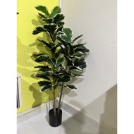 fiddle fig plant fake