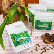 蕨啡偶然的養鹿時光 As1.精選亞洲產區咖啡豆 贈 板植鹿角蕨