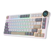 [MLDP] Royal Kludge RK N80 Low Profile Mechanical Keyboard Wireless Bluetooth 2.4G Wireless With 80 