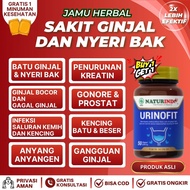 Obat Batu Ginjal Infeksi Saluran Kencing Kemih Gangguan Ginjal Susah Buang Air Kecil Anyang Anyangen