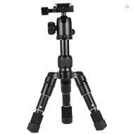 Ultra Compact Desktop Mini Tripod Kit with Ball Head for Canon  DSLR Camera