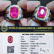 Stone Ring Madagascar Rubynatural 4.66 ct Memo WGL Net Price