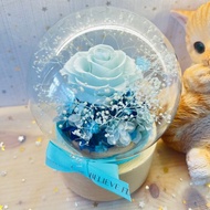 永生花玫瑰音樂盒 浪漫淺藍色 隨音樂旋轉 客製化自訂字句心意牌