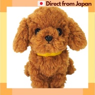 [Japan Shipped] Sun Lemon Pups! Toy Poodle Brown S 15x8.2x17.4cm Plush Animal Dog P-5912