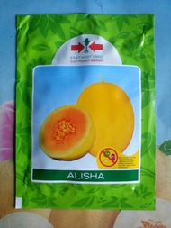 Melon Golden ALISHA 400 Biji