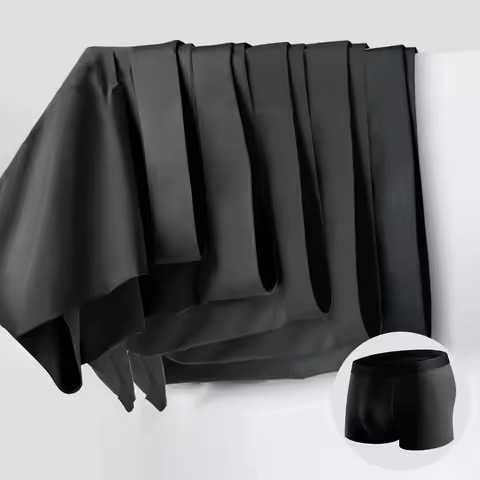 5Pcs Man Underwear Summer Thin Ice Silk Men's briefs Breathable Soft Touch Men's clothes 3D Cutting 