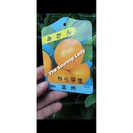SG SELLER, CITRUS FRUIT TREE/LIVE PLANT 🪴🍊
