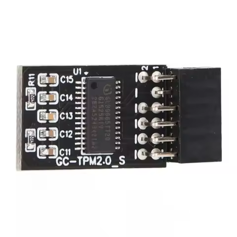 TPM 2.0 Module LPC SPI 12Pin Remote Card Encryption Security Board Accessory For GIGABYTE