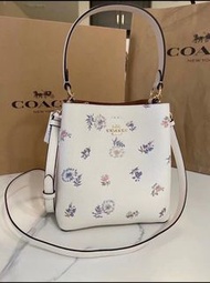 coach 蒲公英印花清新又自然