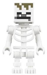 [積木實驗室]全新 樂高 LEGO 21176 骷髏人 Skeleton 骷髏 麥塊 當個創世神 Minecraft