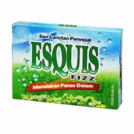 ESQUIS RTG