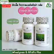 (3 กระปุก 360 เม็ด) Wheatgrass & Alfalfa Plus ผักเม็ด แอมสตรอง 🥗 ผลิตภัณฑ์อาหารเสริม ของแท้ อาหารเสร