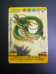 龍珠 爆裂 神龍 No.SP-007 Bandia 2007 Made in Japan 閃卡/非風雲/非巴曲/閃咭/