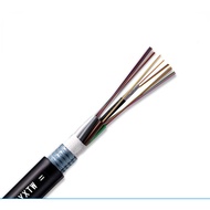 10M 4/6/8/12 Core Fiber Optic Cable Outdoor Fiber cable Single Mode Outdoor Armoured 0.6CM Diameter 