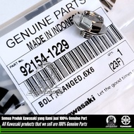 Tensioner Bolt KLX 150 DTRACKER Kawasaki 92154-1229