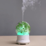 Ultrasonic Aroma Diffuser Air Humidifier Creative Eternal Flowers Home