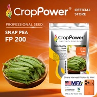 (500 GRAM) Biji Benih Kacang Pis Leper Belanda Doremi θ±ζ₯η±³ FP200 CROP POWER Flat Pea Seed θ·ε
°ζθ±η§ε FP 2