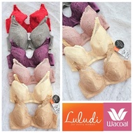 LULUDI BRA by WACOAL WIRE FULL CUP THIN FOAM LB 4098 UNDERWIRE BRA SIZE 34,36,38,40 B,C,D LB4098