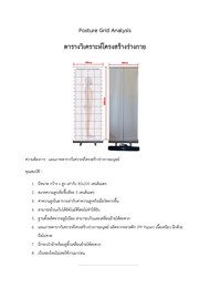 Postural Analysis Grid Chart [ตารางวิเคราะห์โครงสร้างร่างกาย]