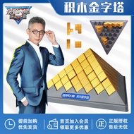 Burn Your Brain Pyrad Building Blocks Powerful Brain Program Same Style Educational Brain-Teasing 3D