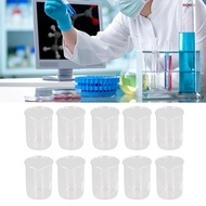 Scientific Beaker Glass 250ml Large Experiment Kit