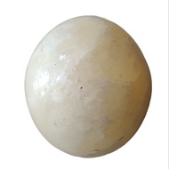 Batu Akik M G Jumbo Model Telur Naga Unik dan Antik