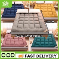 【In stock】10cm Thicker Tilam Topper Mattress Single/Queen/King Size Spring Four Seasons Foldable Til