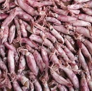 ikan asin Beby cumi - 1 KG / Cumi Asin / Cumi Enak / Ikan Asin / Cumi Asin Murah / Cumi Gurih- 1 KG/