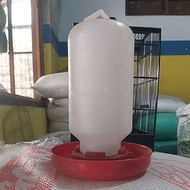 1 liter automatic chicken drinking place, cheap, 1 liter gallon ngombe container