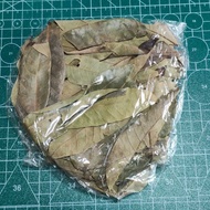 Dried Longan Leaves 50pcs | Leaf Litter for Isopods, Reptiles, Terrapins, Turtles & Terrariums