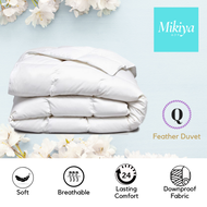 LiveWise Down Feather Duvet Quilt - QUEEN