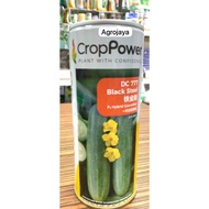 Benih Timun DC777 Black Steel F1 Hybrid Cucumber Crop Power - ( 100g ) 👍 💯