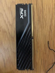 XPG DDR5 6000 cl30 16gb x1