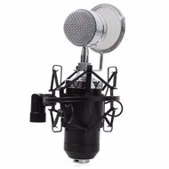 Microphone BM 8000