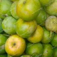 buah mangga apel mengkal 1kg