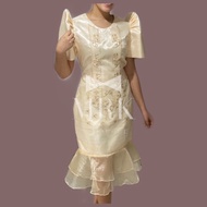 Lady Barong Dress/ Filipiniana