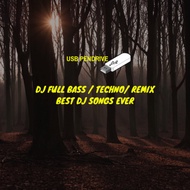 USB Techn0/Full B@ss/Remix