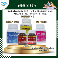 เซต 2 เรา/GO PLUS/ASTA-Q 2 กป. + OV-GRO+ 1 กป.+ZINC ONE 1 กป. + PRRIMVIT - E 1 กป. /เซตเตรียมความพร