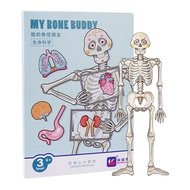 Human Anatomy Puzzle Educational Learning Preschool Toys Human Body Puzzle Anatomy Play Set Body Par
