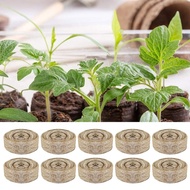 10Pcs Peat Pellets Seed Starter Fiber Soil Indoor Seed Starter Kit For Garden S 30Mm Peat Soil Pelle
