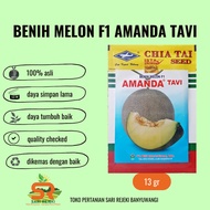 BENIH MELON F1 AMANDA TAVI