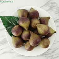 AQUAEDGE Artificial Fig, Funny Mini Simulation Fig Ornament, Food Model Handicrafts Lifelike Fake Fr
