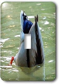 3dRose lsp_46664_1 Bottoms Up Animal, Bird, Bottoms Up, Dabble, Dabbling, Dabbling Ducks, Duck Singl